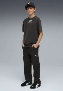 Спортивные штаны scuderia ferrari Puma, Black