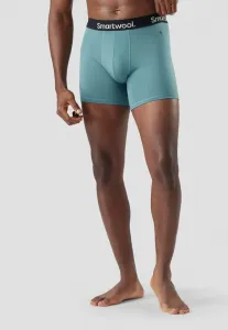 Повседневные боксеры, боксерские трусы в коробке Smartwool, Dusty Teal