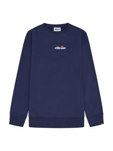 Темно-синяя толстовка ellesse