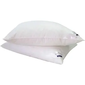 Подушка Gänsefederkopf Ginnie 15, подушка подходит для аллергиков (аллергия на пыль), наполнитель: 85% гусиное перо, 15% гусиный пух, 1 шт. Подушка из гусиного пуха для максимального комфорта сна Billerbeck, белый