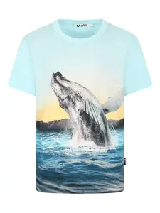 Футболка с графичным принтом Molo, синий