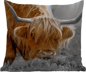 Подушка для улицы - Шотландский горный скот - Растения - Черный - Белый - 45x45 см - Устойчива к погодным условиям - Подушка для отдыха - Фотоподушка - Декоративная подушка MuchoWow