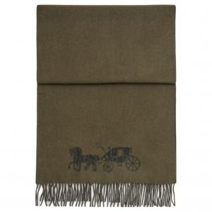 COACH Шерстяной вязаный шарф Unisex Olive Green