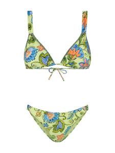 Треугольное бикини Shiwi, зеленый