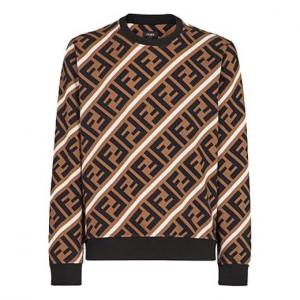 Худи Men's FENDI Logo Cotton Colorblock Sports Brown, коричневый