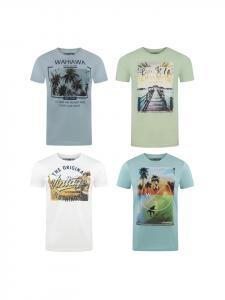 Набор из 4 разноцветных футболок RIVLukas