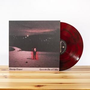 Виниловая пластинка Vespucci, Antarctigo - Love In The Time Of E-Mail