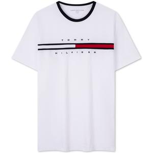 Футболка мужская Tommy Hilfiger, белый