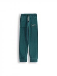 Спортивные брюки Coccodrillo, зеленый