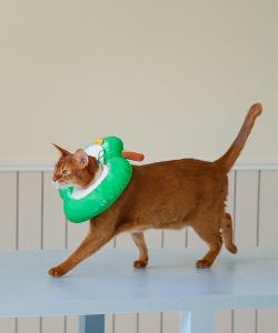 Aimoha home/Ошейник в форме яблока для домашних животных в елизаветинском стиле, цвет Green