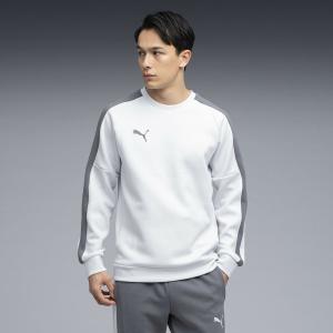 Мужская тренировочная толстовка Puma Voltage