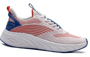 Кроссовки мужские Α-flex Lite Low-Top белый/синий/красный Erke