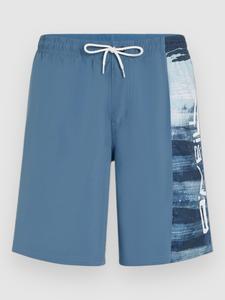 Пляжные шорты O'Neill Retro 19″ Boardshorts, blue melted texture