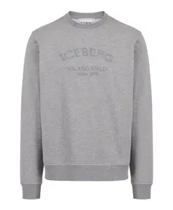 Меланжевая серая толстовка стандартного кроя с вышитым логотипом. Iceberg, серый