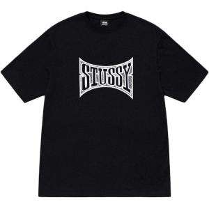 Чемпион Ти Stussy, черный