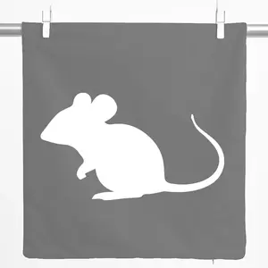 Декоративная наволочка Huuraa с силуэтом мыши, подарочная, 40x40 см, стальной серый, хлопковая, украшение в виде мыши Hellweg Druckerei