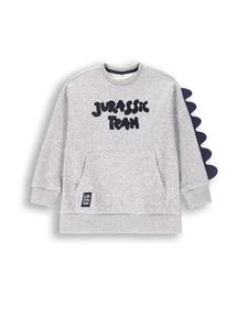 Толстовка Coccodrillo, серый