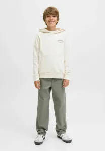 Брюки Jack & Jones Junior, Mulled Basil