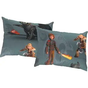 Декоративные подушки Dragons Universal Pictures, наволочка без наполнителя, 2 штуки Wirth, Grau + gemustert