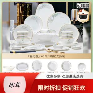 Yichen Набор посуды Bone China из фарфора Jingdezhen, 66 предметов с палочками для еды