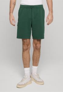Шорты Sergio Tacchini CESENA, Rain Forest Gardenia/Dark Green
