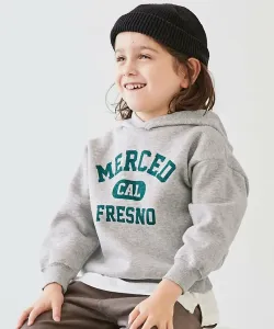 Худи с принтом и флисовой подкладкой от Devil Lab, худи, топ с капюшоном, осень/зима 2025 Devirock, цвет 001-Logo-Metal Grey