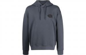 EMPORIO ARMANI Толстовка мужская серая с капюшоном утепленная Regular