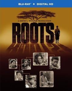 Диск Blu-ray Roots: Complete 1977 Series - 40th Anniversary