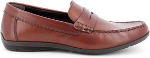 Мужские лоферы IGICO с монеткой Igi&Co, Cognac