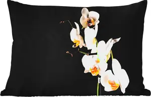 Подушка для улицы - Орхидея - Цветы - Растения - Ботанический - 50 x 30 см - Устойчива к погодным условиям - Подушка для отдыха - Подушка для дивана - Украшение для гостиной MuchoWow