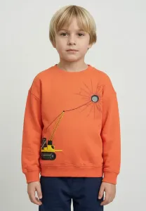 Толстовка Blue Seven, - Flamingo