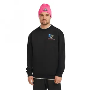 Толстовка O´neill FWC Play, черный