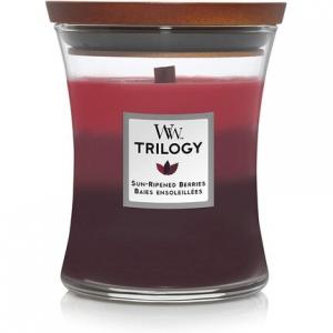 Ароматическая свеча-трилогия «Песочные часы» с Pluswick Innovation Sun-Ripened Berries Medium Woodwick