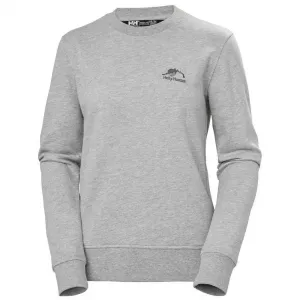 Толстовка Helly Hansen Nord Graphic, серый