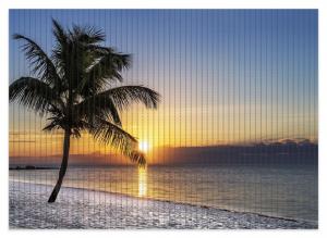 Коврик для душа Wallario, нескользящий коврик, коврик для ванной, коврик для ног, пальма на пляже - закат над морем, размер ок. 70 х 50 см, синий