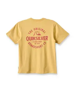 Мужская футболка с коротким рукавом Locked Up Quiksilver, желтый