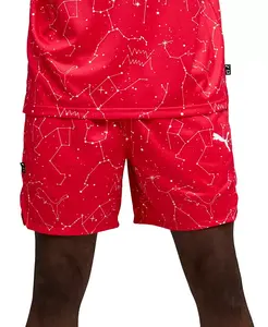 Мужские шорты Hoopaverse 7" Puma, красный