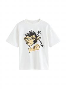 Next Футболка в белом цвете