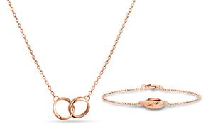 Аксессуары Daniel Wellington титановая сталь, сплав ожерелье женское DW/DanielWellington