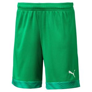 Детские шорты Puma Short Cup Jr 704035