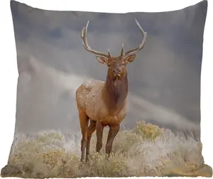 Подушка для улицы - Олень - Горы - Трава - 40x40 см - Водонепроницаемая - Подушка для отдыха - Подушка - Внутренняя часть - Обивка с изображением MuchoWow