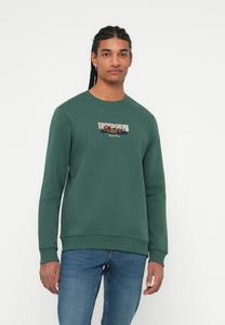 Толстовка Only & Sons ONSCONNOR SIMPLE LIFE CREW, Trekking Green/Green