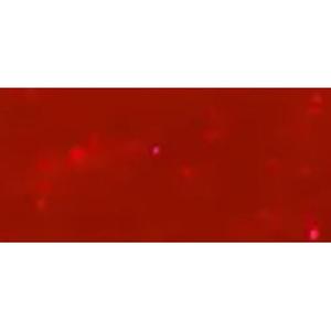 Гель-лак для ногтей Opi Gelcolor 15 мл