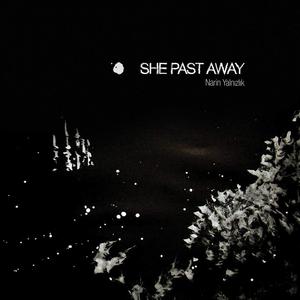 Виниловая пластинка LP Narin Yalnizlik - She Past Away