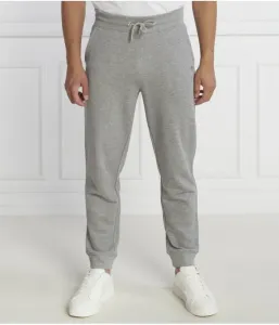 Спортивные штаны regular fit Gant, серый