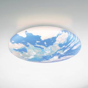 Светодиодный потолочный светильник Reality Leuchten Terra, пластик - разноцветный - 1 пламя