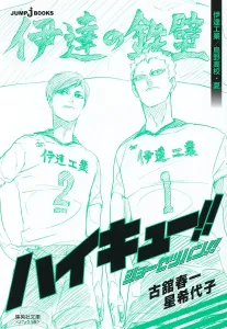Haikyu!! Novel Edition!! Date Tech High School/Karasuno High School Summer (Shueisha Bunko (Comic Edition))