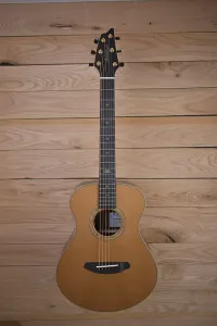 Breedlove Premier Companion E LTD 2024 - Бразильская розовое дерево, США