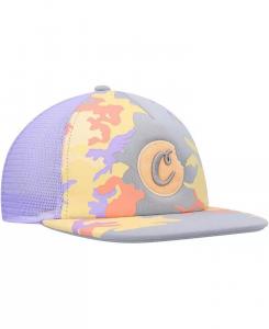 Мужская серая кепка Fresh Air Trucker Snapback Cookies