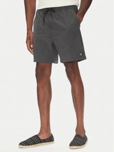 Пляжные шорты regular fit Every Other Day Lb EBYJV00145 Billabong, серый